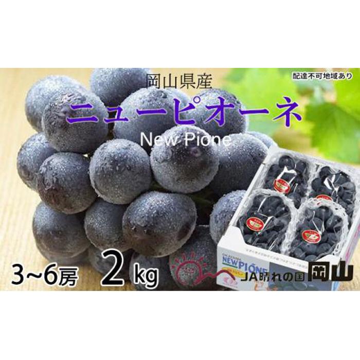 【ふるさと納税】ぶどう 2025年 先行予約 ニュー ピオーネ 3房~6房 約2kg ブドウ 葡萄 岡山県産 国産 フルーツ 果物 ギフト | フルーツ 果物 くだもの 食品 人気 おすすめ 送料無料