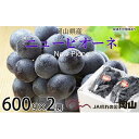 【ふるさと納税】ぶどう 2025年 先行予約 ニュー ピオーネ 約600g×2房 ブドウ 葡萄 岡山県産 国産 フルーツ 果物 ギフト | フルーツ 果物 くだもの 食品 人気 おすすめ 送料無料