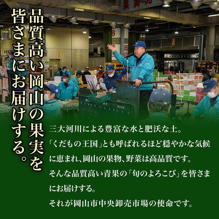 【ふるさと納税】ぶどう 2024年 先行予約 紫苑 1房 700g以上 大房 化粧箱入り ブドウ 葡萄 岡山県産 国産 フルーツ 果物 ギフト [No.5220-1733] | フルーツ 果物 くだもの 食品 人気 おすすめ 送料無料 2