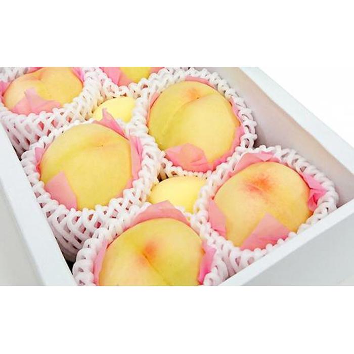 岡山の桃 白桃5〜6玉(約1kg)  | もも フルーツ 果物 くだもの 食品 人気 おすすめ 送料無料