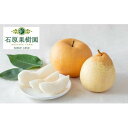 【ふるさと納税】梨 2025年 先行予約 備前横綱梨(あたご梨) 超大玉1玉 1kg〜1.4kg・備前乙女梨(鴨梨) 3〜5玉 詰合せ 合計3.0kg以上 贈答...