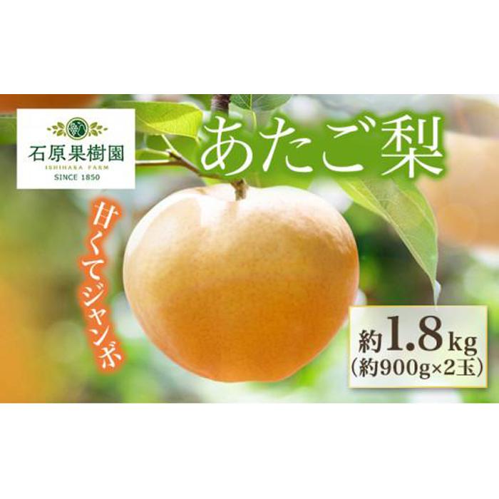 梨 【ふるさと納税】梨 2024年 先行予約 あたご梨 約900g×2玉 化粧箱 ナシ なし 岡山県産 国産 フルーツ 果物 ギフト 石原果樹園 [No.5220-0564] | フルーツ 果物 くだもの 食品 人気 おすすめ 送料無料