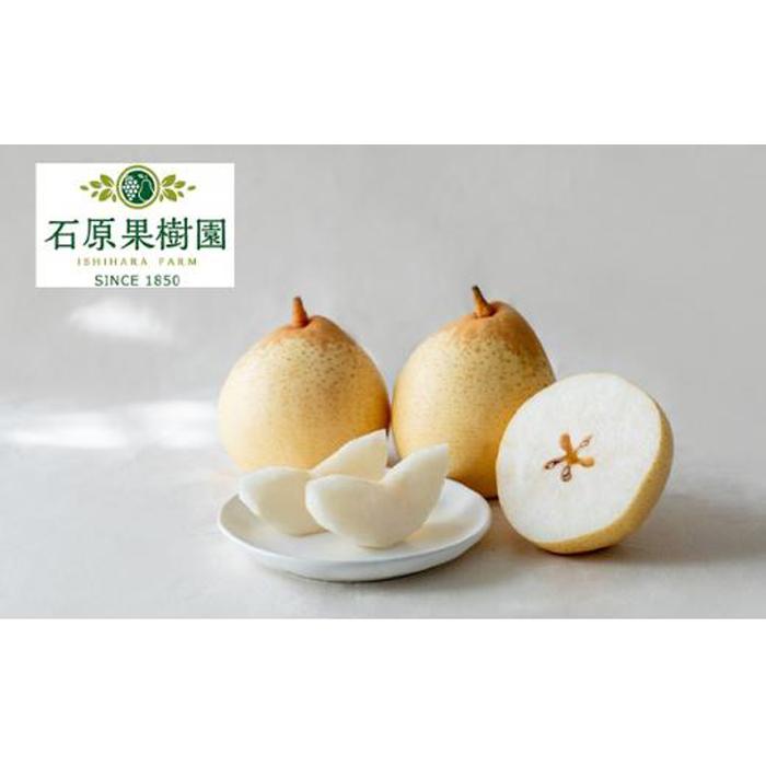【ふるさと納税】梨 2025年 先行予約 鴨梨(ヤーリー)3~6玉 約2kg 贈答箱 ナシ なし 岡山県産 国産 フルーツ 果物 ギフト 石原果樹園 | フルーツ 果物 くだもの 食品 人気 おすすめ 送料無料