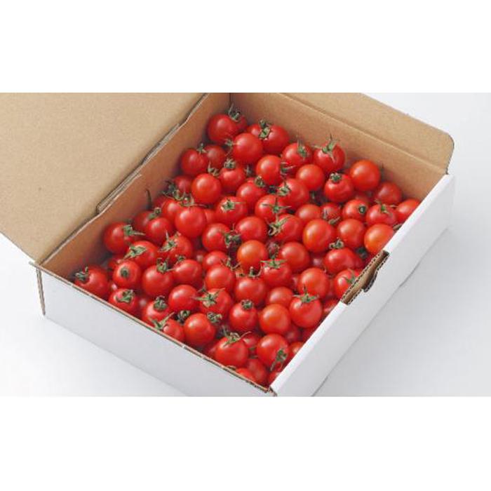 きびトマト(高糖度ミニトマト)1kg  | 野菜 やさい 食品 人気 おすすめ 送料無料
