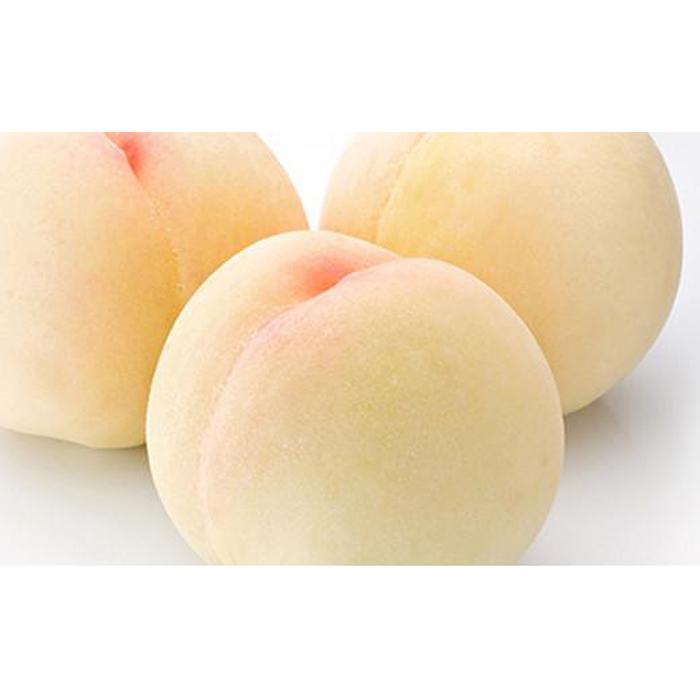 【ふるさと納税】桃 2026年 白桃 6玉(1玉300g以上)化粧箱入りもも モモ 岡山県産 国産 フルーツ 果物 ギフト | もも フルーツ 果物 くだもの ...