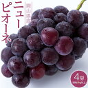 【ふるさと納税】ぶどう 2025年 先行予約 ニュー ピオーネ 4房(合計約2kg) ブドウ 葡萄 岡山県産 国産 フルーツ 果物 ギフト | フルーツ 果物 ...