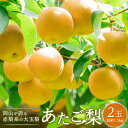 【ふるさと納税】梨 2025年 先行予約 あたご梨 2玉(1玉約750g)合計約1.5kg なし ナシ 岡山県産 国産 フルーツ 果物 ギフト | フルーツ 果...