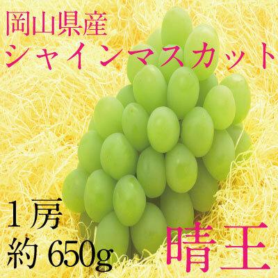 【ふるさと納税】ぶどう 2024年 先行予約 シャイン マス