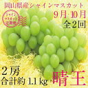 【ふるさと納税】【定期便 全2回】ぶどう 2024年 先行予