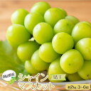 【ふるさと納税】岡山県産 ぶどう 2025年発送 シャインマスカット 晴王 約2kg 3〜6房 種無し ブドウ 葡萄 フルーツ 果物 ギフト | フルーツ 果物...