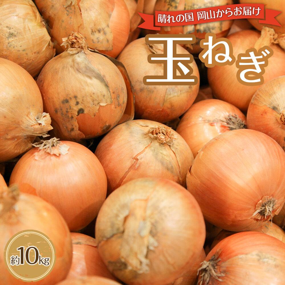 【ふるさと納税】玉ねぎ 岡山市産 約10kg 2025年 先行予約 野菜 たまねぎ タマネギ オニオン | 野菜 やさい 食品 人気 おすすめ 送料無料