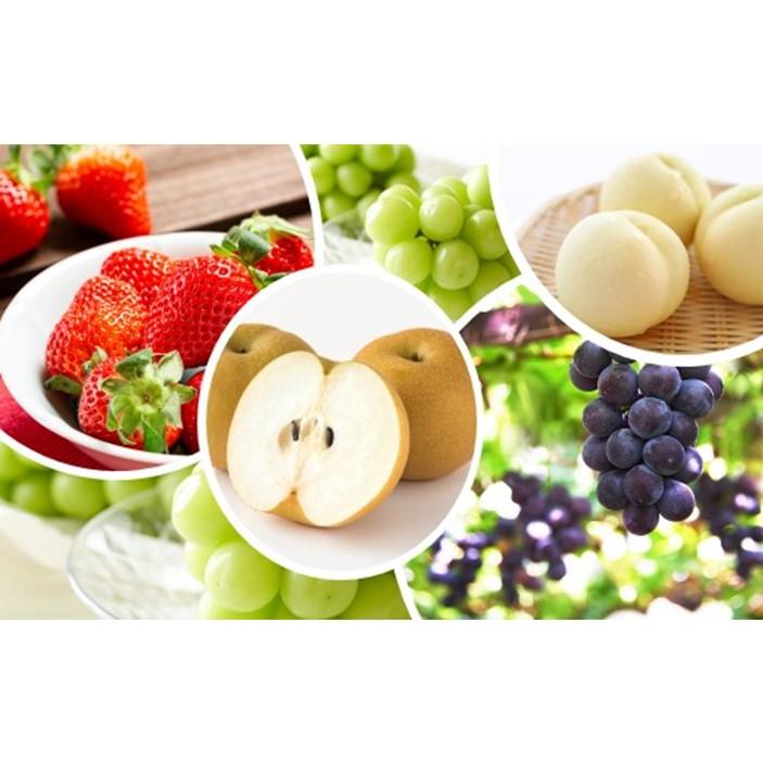 【ふるさと納税】フルーツ 定期便 2026年 晴れの国 岡山の フルーツ 定期便 6回 桃 ぶどう 梨 いちご 岡山県産 国産 フルーツ 果物 ギフト | もも...