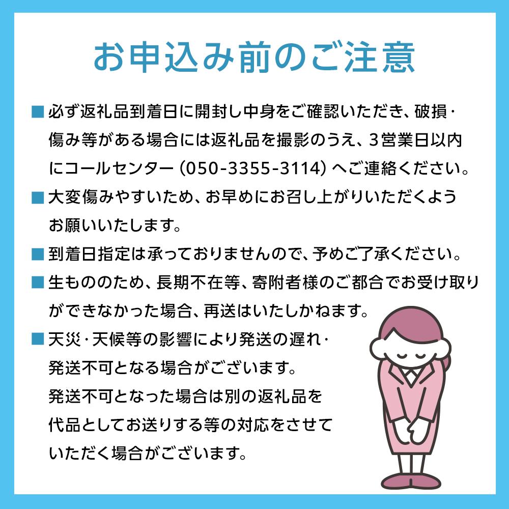 【ふるさと納税】ぶどう 2025年 先行予約 桃太郎 ぶどう 1房800g以上 ブドウ 葡萄 岡山県産 国産 フルーツ 果物 ギフト | フルーツ 果物 くだもの 食品 人気 おすすめ 送料無料