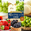 【ふるさと納税】フルーツ 定期便 2025年 先行予約 晴れの国 岡山県産 旬のフルーツ定期便 7回コース 桃 もも 葡萄 ぶどう 梨 なし 苺 いちご 岡山県...