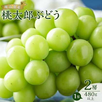 ぶどう 2024年 先行予約 桃太郎 ぶどう 2房（1房480g以上） ブドウ 葡萄 岡山県産 国産 フルーツ 果物 ギフト[No.5220-0719] | フルーツ 果物 くだもの 食品 人気 おすすめ 送料無料