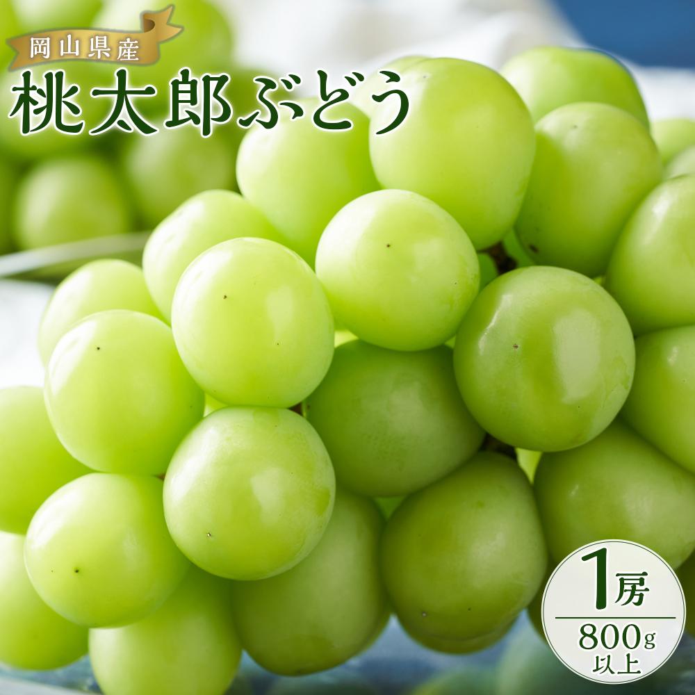 【ふるさと納税】ぶどう 2024年 先行予約 桃太郎 ぶどう 1房800g以上 ブドウ 葡萄 岡山県産 国産 フルーツ 果物 ギフト[No.5220-0720] | フルーツ 果物 くだもの 食品 人気 おすすめ 送料無料