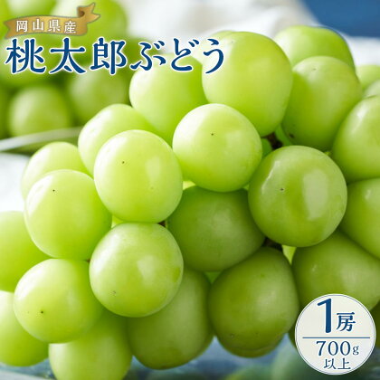 ぶどう 2024年 先行予約 桃太郎 ぶどう 1房700g以上 ブドウ 葡萄 岡山県産 国産 フルーツ 果物 ギフト[No.5220-0721] | フルーツ 果物 くだもの 食品 人気 おすすめ 送料無料