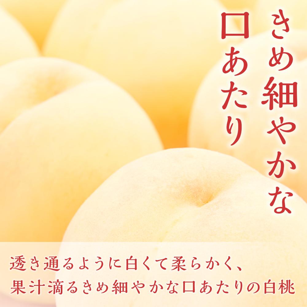 【ふるさと納税】桃 ぶどう 2024年 先行予約 岡山の 果物 詰合せ 岡山 白桃 2玉 ニュー ピオーネ 2房 化粧箱入り岡山県産 国産 フルーツ 果物 ギフト [No.5220-1144] | もも フルーツ 果物 くだもの 食品 人気 おすすめ 送料無料