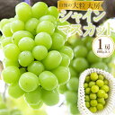 【ふるさと納税】ぶどう 2025年 先行予約 黒川農園 自慢 ! の 大粒 大房 シャイン マスカット 1房 800g以上 ブドウ 葡萄 岡山県産 国産 フルーツ 果物 ギフト | フルーツ 果物 くだもの 食品 人気 おすすめ 送料無料