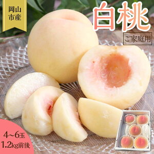 【ふるさと納税】桃 2025年 先行予約 ご家庭用 岡山 白桃 4玉~6玉 1.2kg 前後 もも 岡山県産 国産 フルーツ 果物 雅桃園 | もも フルーツ 果物 くだもの 食品 人気 おすすめ 送料無料