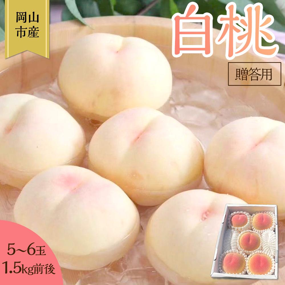 【ふるさと納税】桃 2025年 先行予約 贈答用 岡山 白桃 5玉~6玉 1.5kg 前後 もも 岡山県産 国産 フルーツ 果物 ギフト 雅桃園 | もも フルーツ 果物 くだもの 食品 人気 おすすめ 送料無料