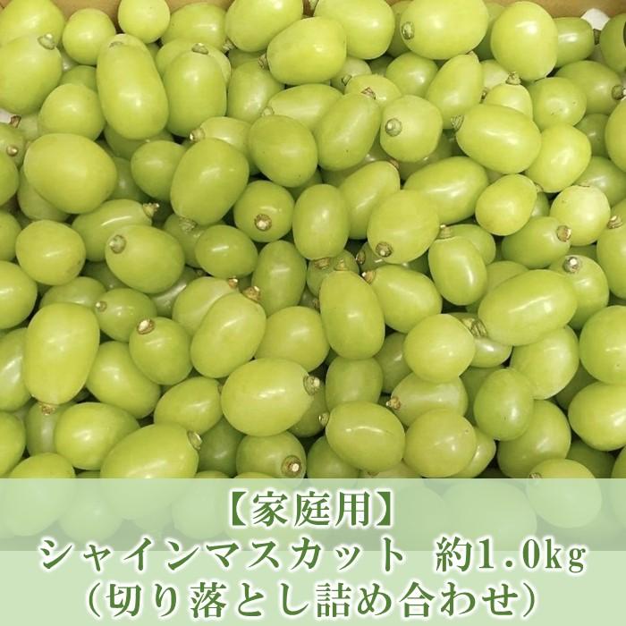 【ふるさと納税】ぶどう マスカット 家庭用 2024年 先行予約 9月以降発送 シャインマスカット 約1.0kg 【 切り落とし 詰め合わせ 】 ブドウ 葡萄 岡山市 国産 フルーツ 果物