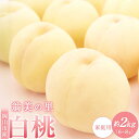 【ふるさと納税】2025年 先行予約 岡山市産 白桃 ご家庭用 約2kg(6~8玉)翁美の里<2025年7月~8月上旬発送> | もも フルーツ 果物 くだもの 食品 人気 おすすめ 送料無料
