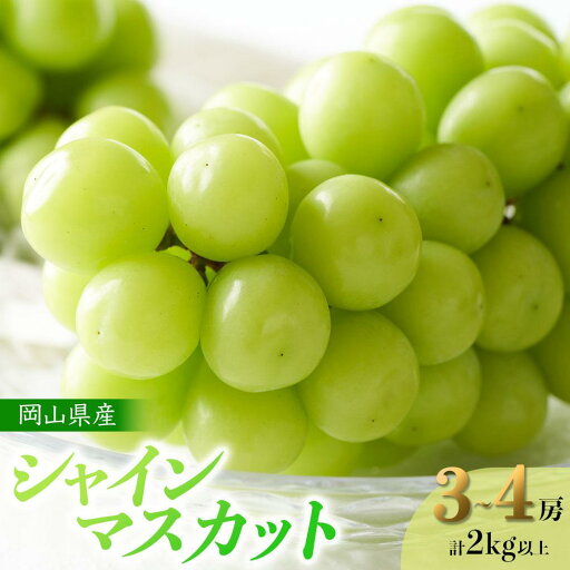 【ふるさと納税】ぶどう 2025年 先行予約 岡山県産 シャインマスカット 3~4房 計2kg以上<ジューシーで上品な甘みと高貴な香り> | フルーツ 果物 くだもの 食品 人気 おすすめ 送料無料 【ふるさと納税】ぶどう 2025年 先行予約 岡山県産 シャインマスカット 3~4房 計2kg以上<ジューシーで上品な甘みと高貴な香り> | フルーツ 果物 くだもの 食品 人気 おすすめ 送料無料