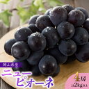 【ふるさと納税】ぶどう 2025年 先行予約 岡山県産 ニューピオーネ 4房 計2kg以上<ジューシーで上品な甘みと高貴な香り> | フルーツ 果物 くだもの ...