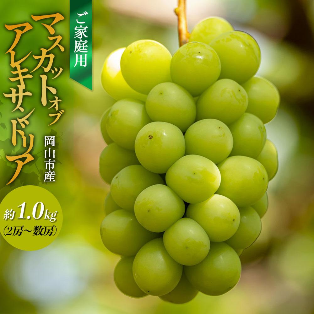 ご家庭用 マスカット・オブ・アレキサンドリア 約1.0kg（2房～数房） ぶどう フルーツ 果物 岡山 五果苑 | フルーツ 果物 くだもの 食品 人気 おすすめ 送料無料