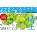 【ふるさと納税】ぶどう 2025年 先行予約 9月・10月発送 シャイン マスカット 晴王 1房 約600g×2回 ブドウ 葡萄 岡山県産 国産 フルーツ 果物...