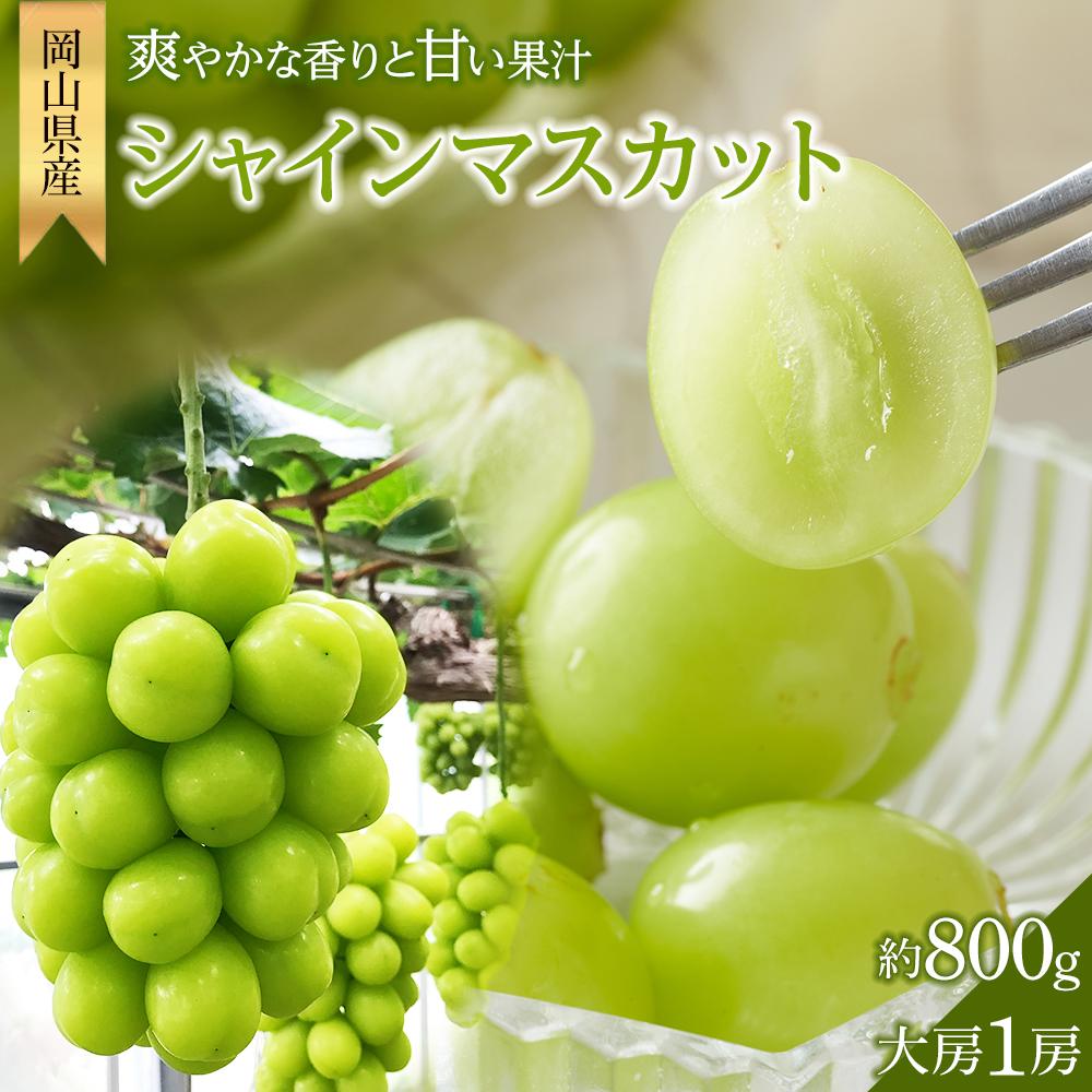 【ふるさと納税】ぶどう 2025年 先行予約 シャイン マスカット 大房1房 約800g 贈答用 ブドウ 葡萄 岡山県産 国産 フルーツ 果物 ギフト 横木農園 | フルーツ 果物 くだもの 食品 人気 おすすめ 送料無料