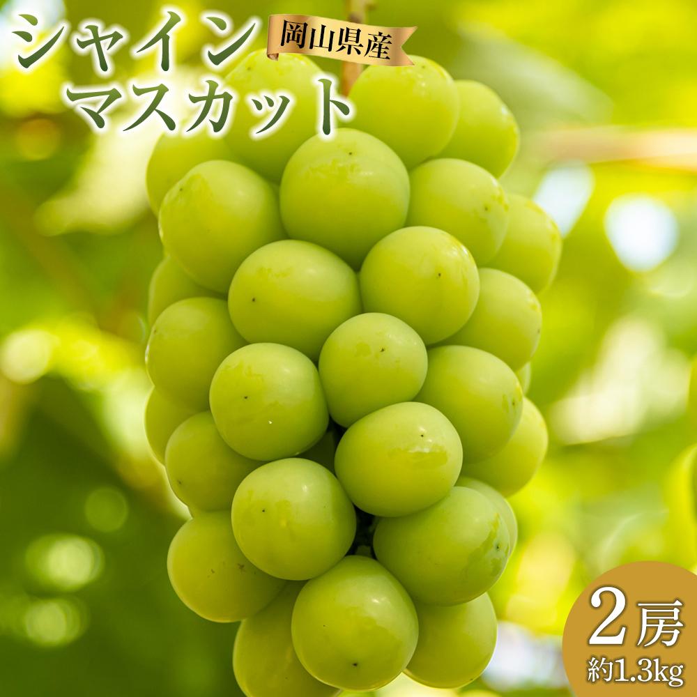 【ふるさと納税】ぶどう 2025年 先行予約 シャイン マスカット 2房 合計約1.3kg 贈答用 ブドウ 葡萄 岡山県産 国産 フルーツ 果物 ギフト 横木農園 | フルーツ 果物 くだもの 食品 人気 おすすめ 送料無料