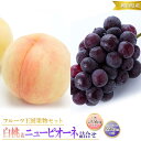 【ふるさと納税】桃 ぶどう 2025年 先行予約 白桃 5玉 合計約1.5kg (1玉 約300g) ニュー ピオーネ 1房 550g もも 葡萄 詰合せ 岡山...