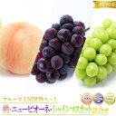 【ふるさと納税】岡山県産 白桃 2玉(1玉約300g)・ニューピオーネ1房(550g以上)・シャインマスカット 晴王 1房(550g以上)2025年先行予約 |...