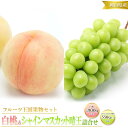 【ふるさと納税】桃 ぶどう 2025年 先行予約 白桃 3玉 合計約900g (1玉約300g) シャインマスカット 晴王 1房 550g以上 もも 葡萄 詰合...