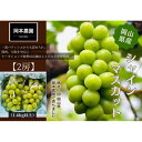 【ふるさと納税】シャインマスカット 2房1.6kg | フルーツ 果物 くだもの 食品 人気 おすすめ 送料無料
