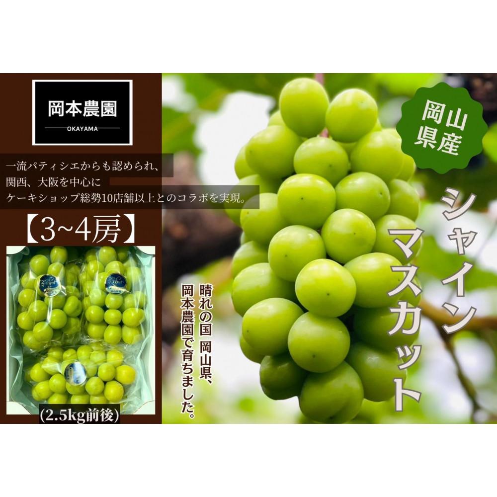 【ふるさと納税】シャインマスカット 3~4房 約2.5kg | フルーツ 果物 くだもの 食品 人気 おすすめ 送料無料