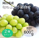 【ふるさと納税】2025年 先行予約 岡山県産 旬のぶどう詰合せ 2種 2パック(ニューピオーネ1房 約300g×1P・シャインマスカット晴王1房 約300g×...
