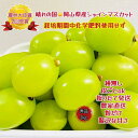 【ふるさと納税】ぶどう 2025年 先行予約 シャインマスカット 秀品 粒だけ 約2kg 岡山 国産 果物 フルーツ 2025年6月下旬から発送 | フルーツ ...