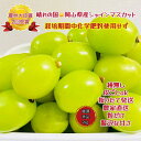 【ふるさと納税】ぶどう 2025年 先行予約 シャインマスカット 厳選 秀品 粒だけ 約2kg 岡山 国産 果物 フルーツ 2025年7月上旬から発送 | フル...