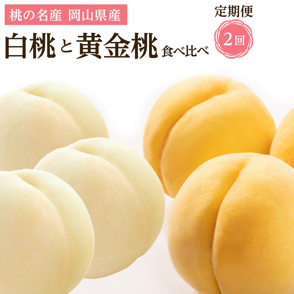 【ふるさと納税】フルーツ 2026年 岡山県産 桃 食べ比べ 定期便 2回コース(白桃・黄金桃)
