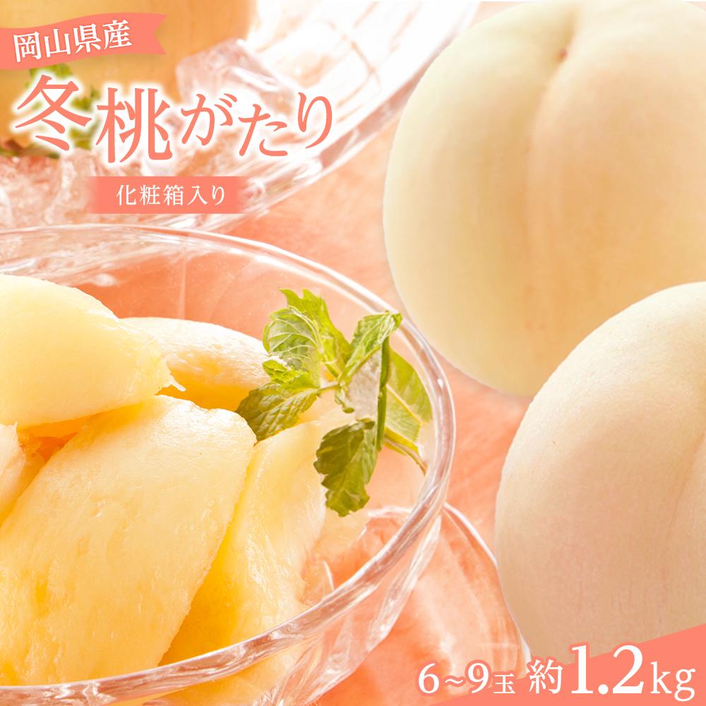 【ふるさと納税】【2025年先行予約】 岡山県産 冬桃がたり6~9玉 約1.2kg 化粧箱入り | 果物 期間限定 桃 もも momo 甘い 美味しい フルーツ 人気 おすすめ 送料無料 お取り寄せ 取り寄せ 岡山県 岡山 季節限定 ギフト プレゼント