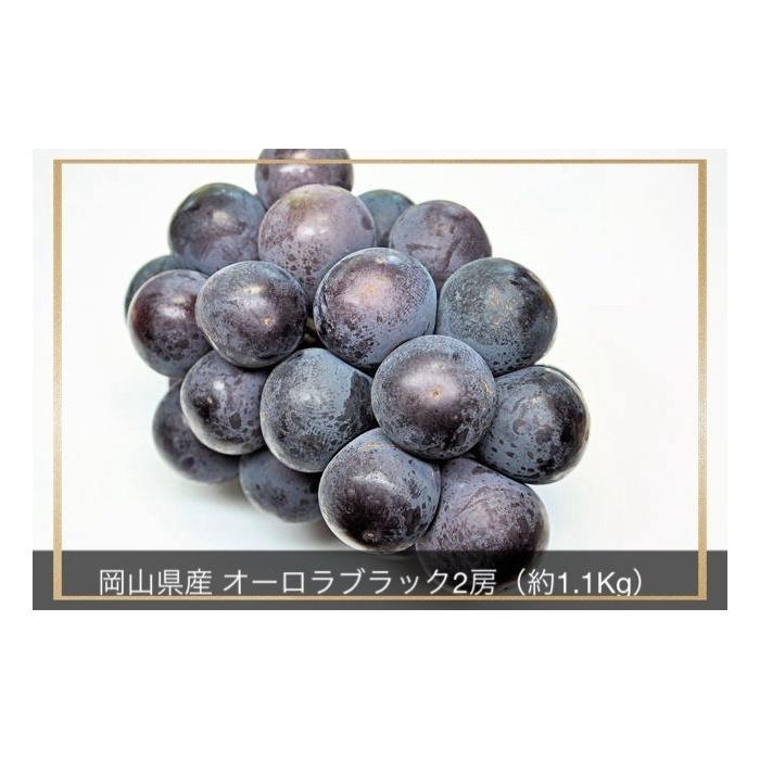 【ふるさと納税】【2025年先行予約】岡山県産 オーロラブラック 2房 計約1.1kg | 果物 期間限定 ぶどう 葡萄 ブドウ 甘い 美味しい フルーツ 人気 おすすめ 送料無料 お取り寄せ 取り寄せ 岡山県 岡山 季節限定