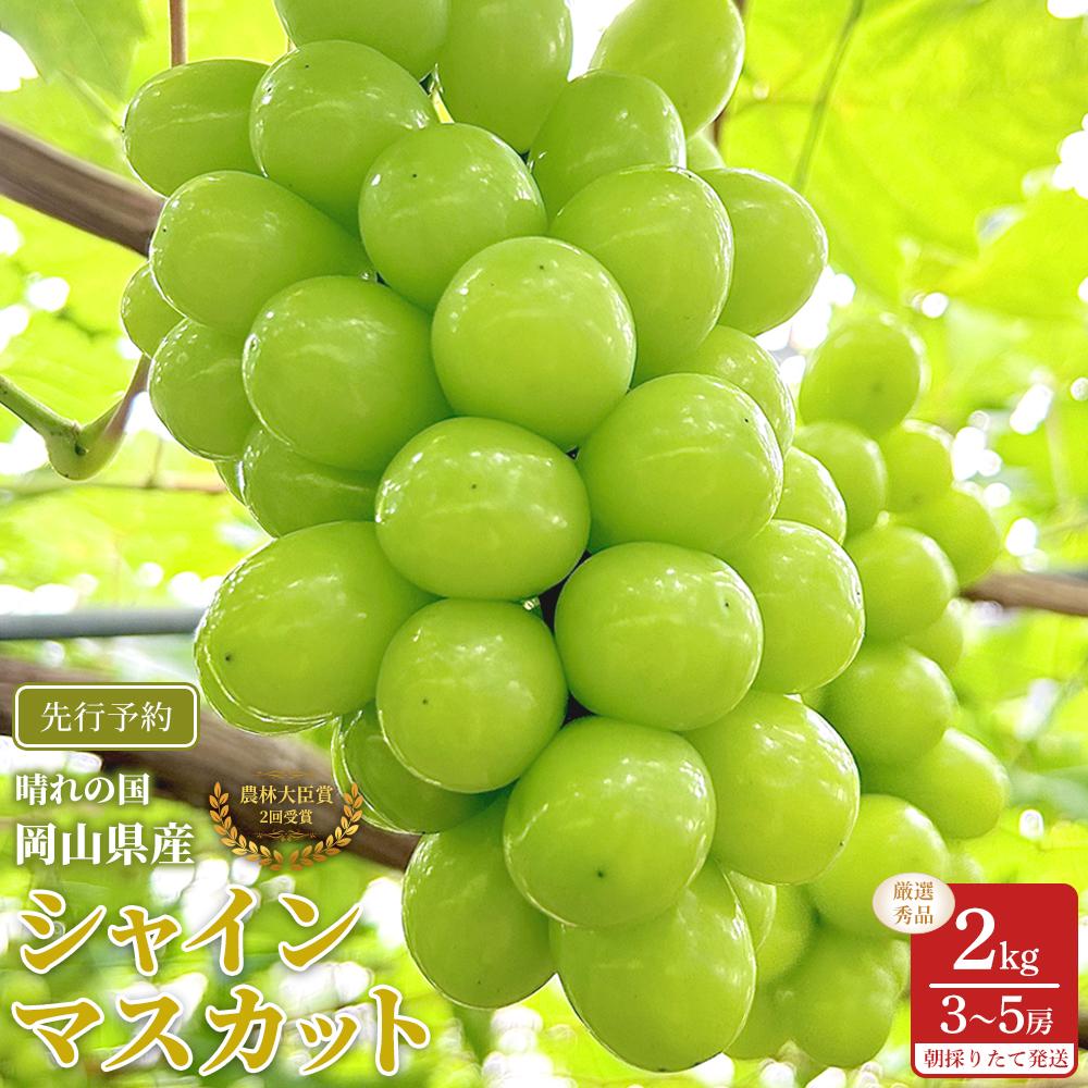 【ふるさと納税】ぶどう 2025年 先行予約 シャインマスカット 厳選 秀品 約2kg 3~5房 農林大臣賞受賞 岡山 国産 果物 フルーツ シャイン マスカット 2025年7月上旬から発送 | フルーツ 果物 くだもの 食品 人気