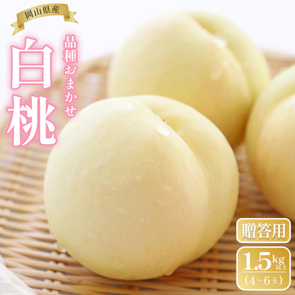 【ふるさと納税】桃 2025年 先行予約 岡山県産 贈答用 白桃 1.5kg以上(4~6玉) 品種おまかせ<6月下旬以降発送>