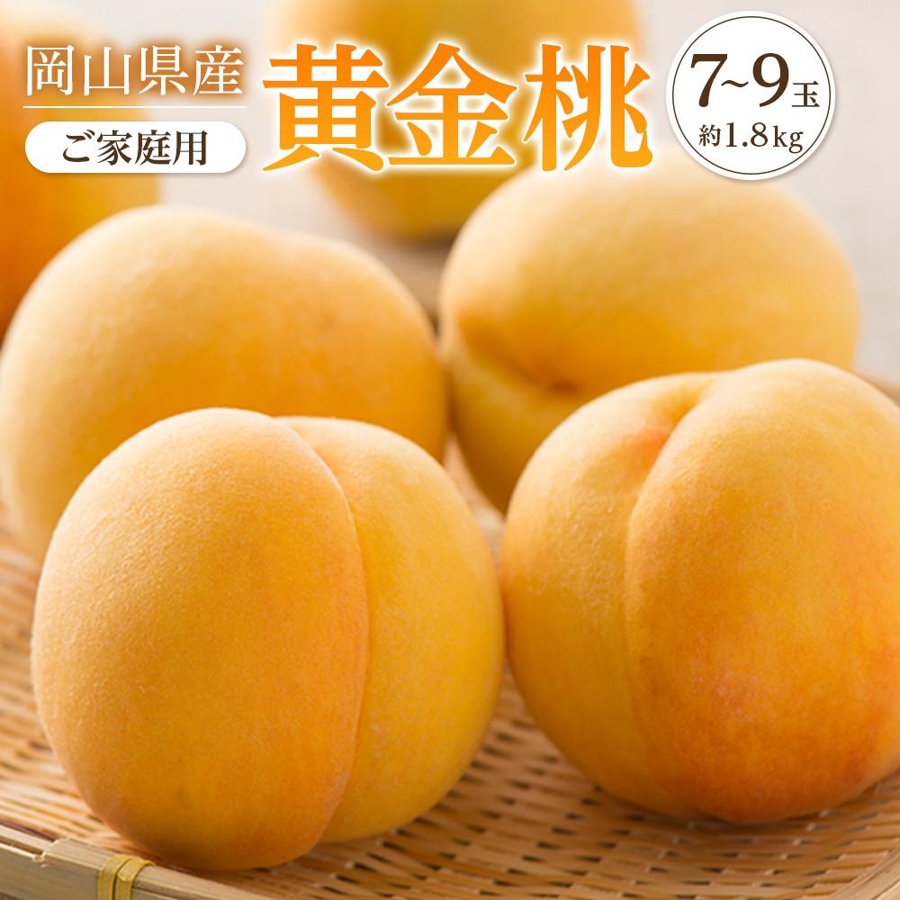 【ふるさと納税】桃 2025年 先行予約 ご家庭用 おかやま の 黄金桃 約1.8kg(7~9玉) もも モモ 岡山県産 国産 フルーツ 果物 | もも フルーツ 果物 くだもの 食品 人気 おすすめ 送料無料