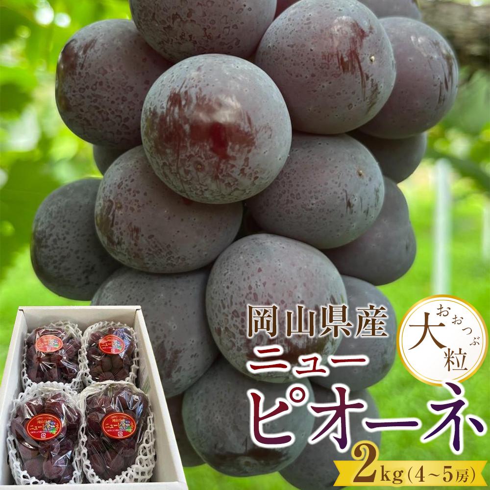 【ふるさと納税】ぶどう 2025年 先行予約 岡山県産 大粒 ニューピオーネ 2kg(4房~5房)農園直送 朝採れ | フルーツ 果物 くだもの 食品 人気 おすすめ 送料無料