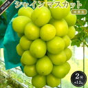 【ふるさと納税】ぶどう 2025年 先行予約 シャイン マスカット 約1.2kg 2房 減農薬 ハウス栽培 ブドウ 葡萄 岡山県産 国産 フルーツ 果物 ギフト...