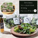 【ふるさと納税】【Ortolano】ファーストクラスのサラダ&ドレッシングセット B【配達不可:北海道・沖縄・離島】 | 野菜 やさい 食品 人気 おすすめ 送...